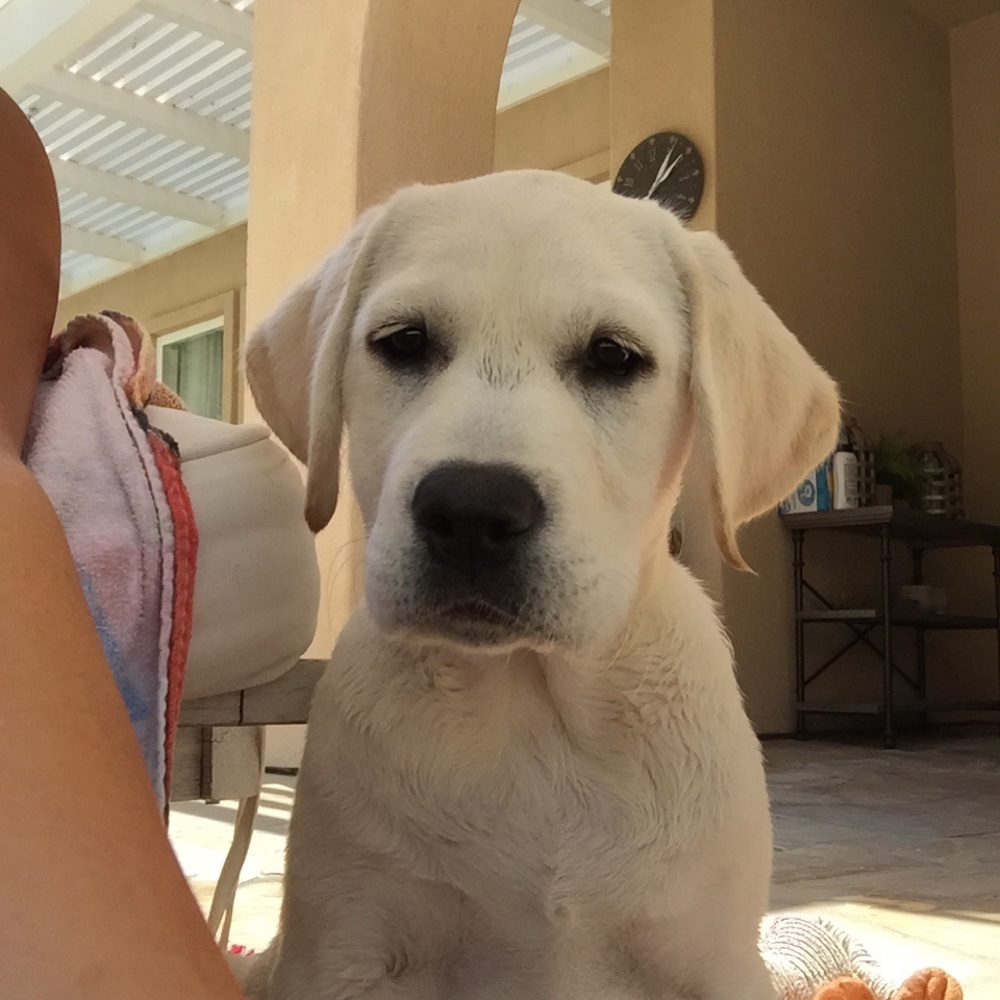 Meet your Posher, Andrea